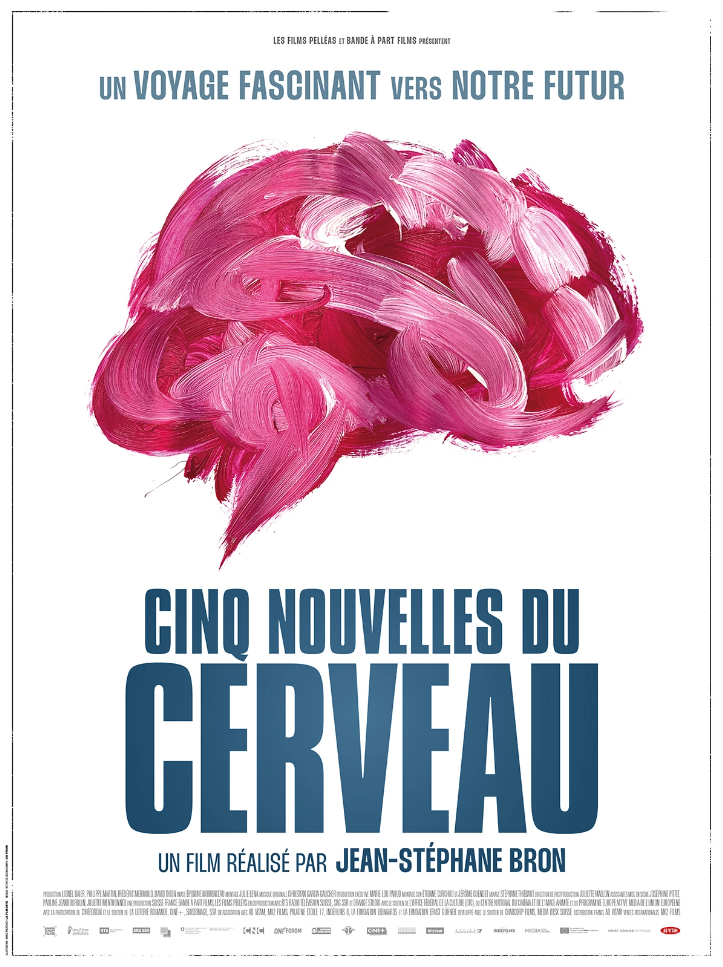 Cinq Nouvelles du Cerveau