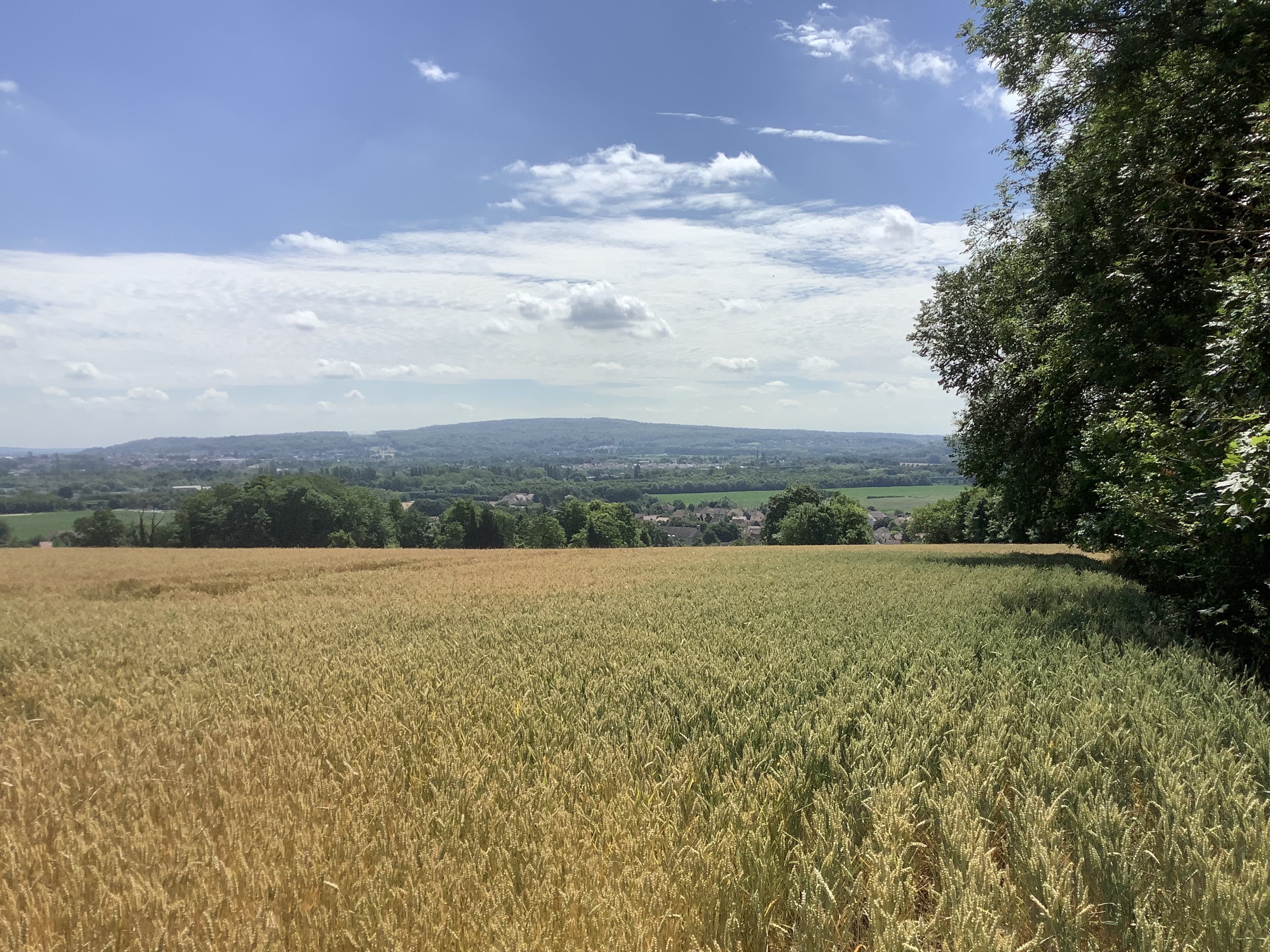 Paysage du Vexin Dominique Frizon de Lamotte